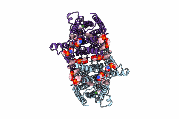 9B4E image