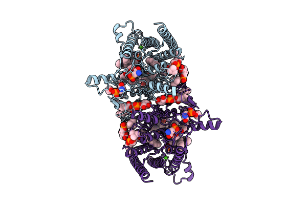 9B4G image