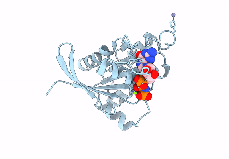 9B4R image