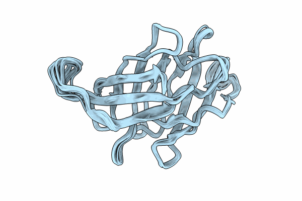 9B4W image