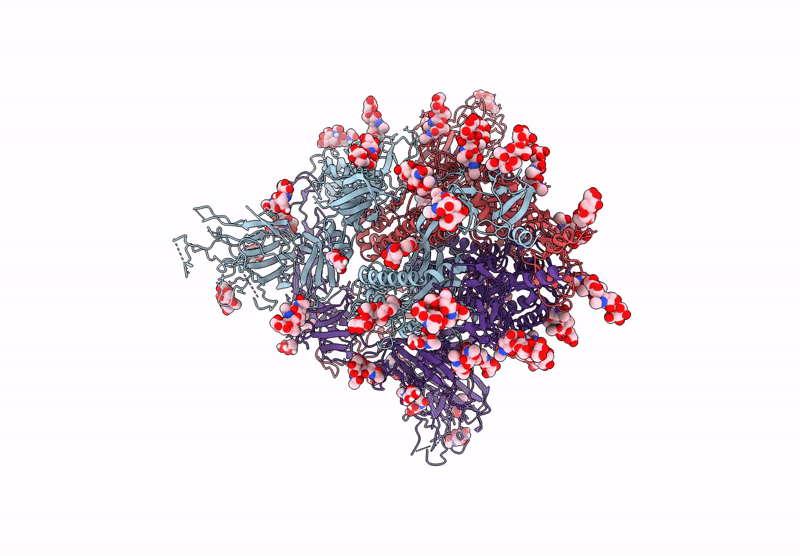9B4X image