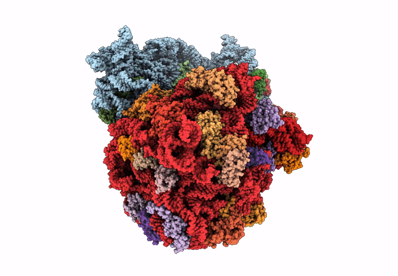 9B50 image