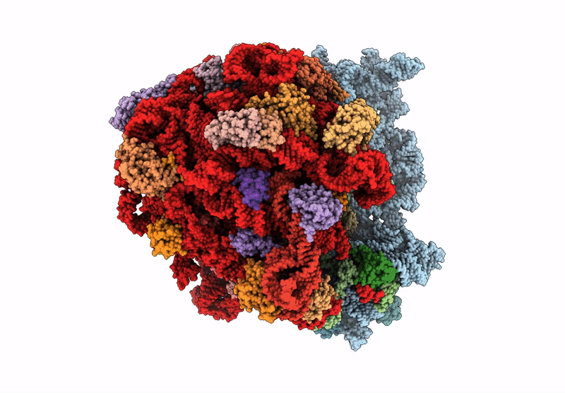 9B51 image