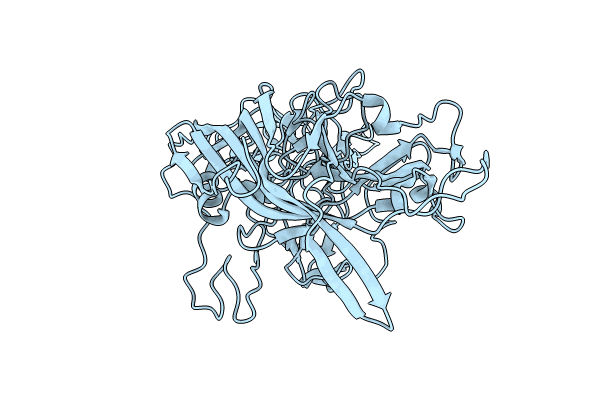 9B52 image