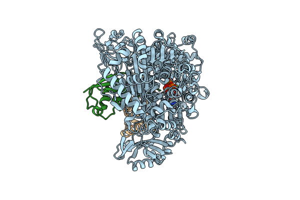 9B5C image