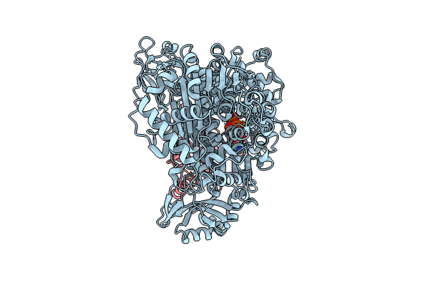 9B5P image