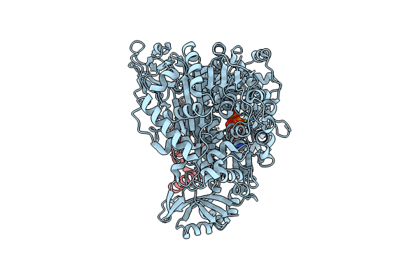 9B5R image