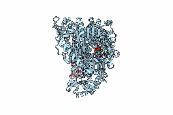 9B5S image