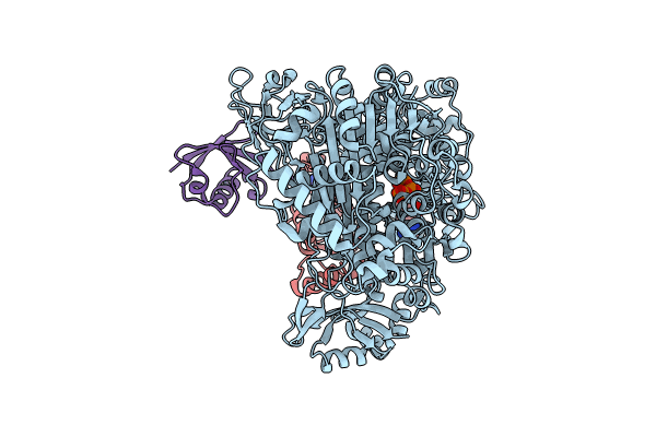 9B5W image