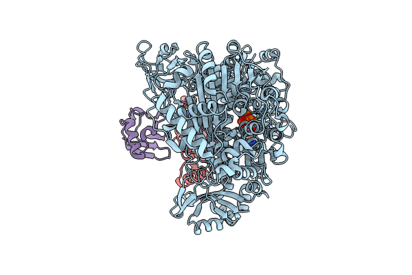 9B5X image