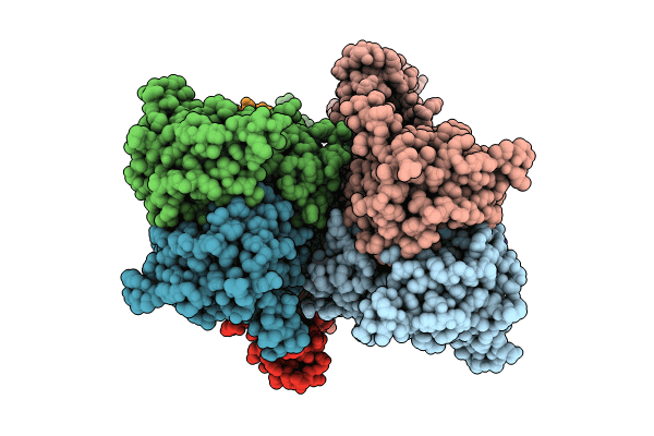 9B5Z image