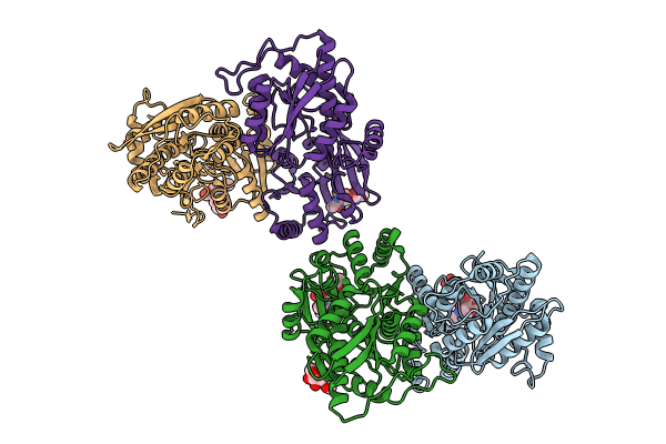 9B69 image