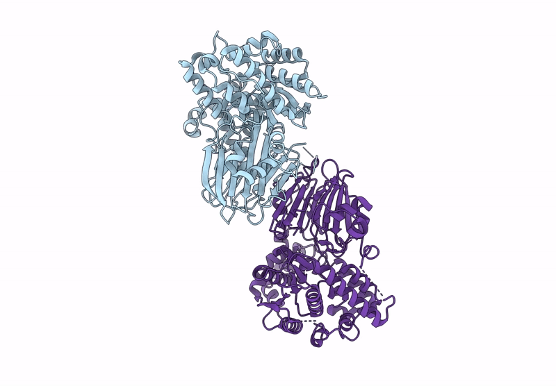 9B6C image