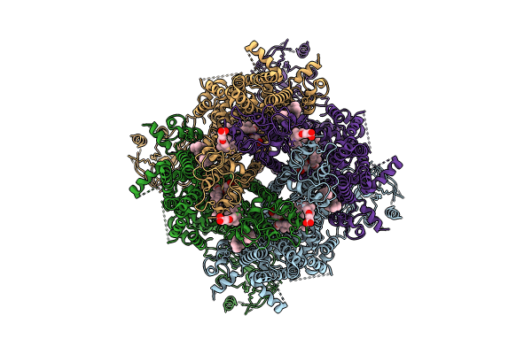 9B6D image