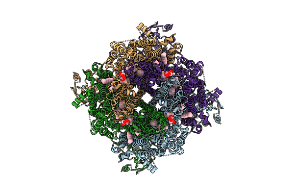 9B6E image