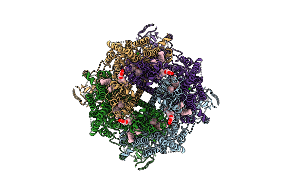 9B6I image