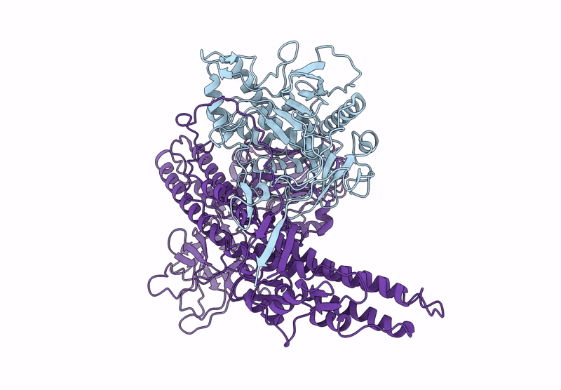 9B6M image