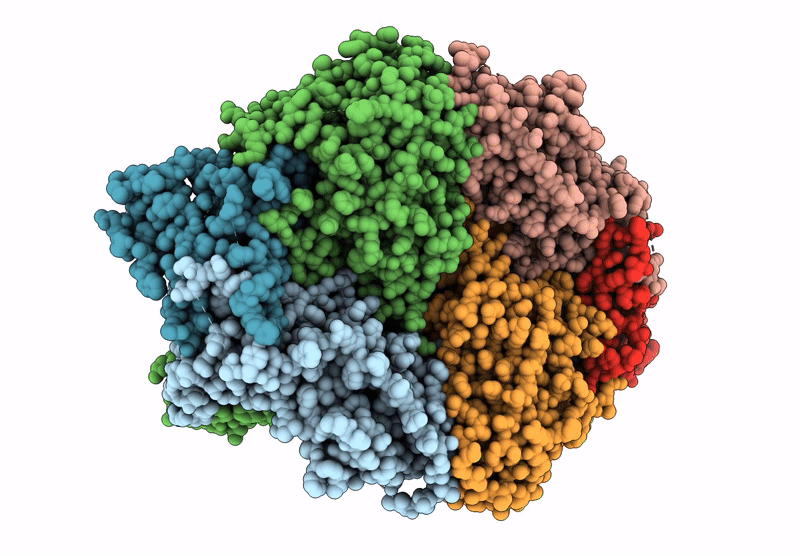 9B6P image