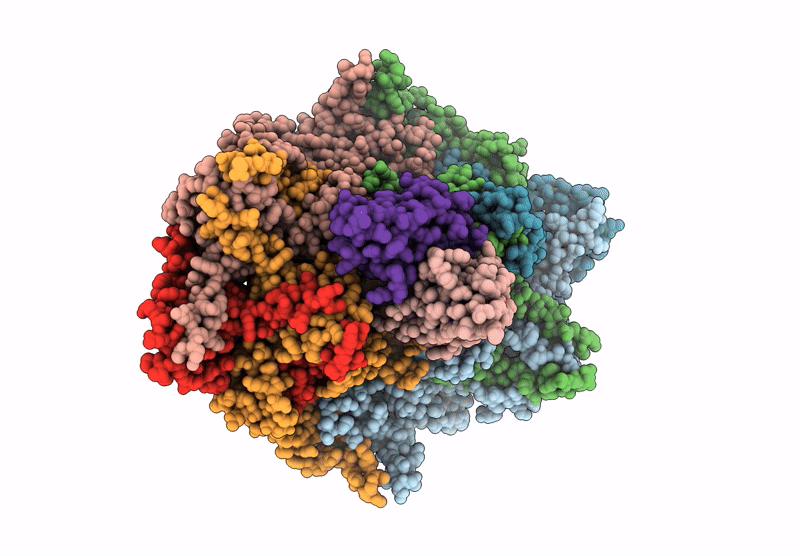 9B6R image