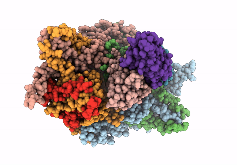 9B6T image
