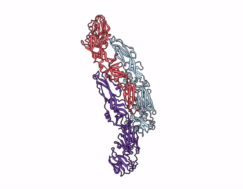 9B6V image