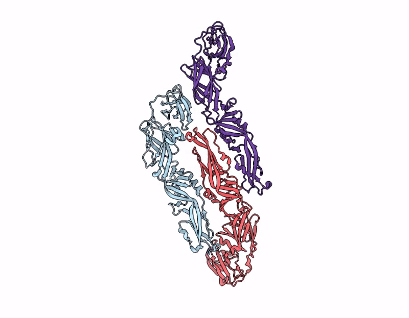 9B6X image