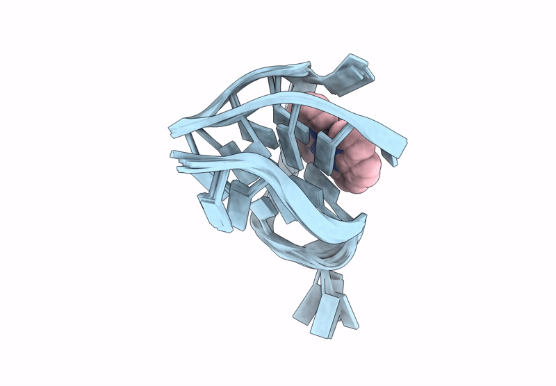 9B6Z image
