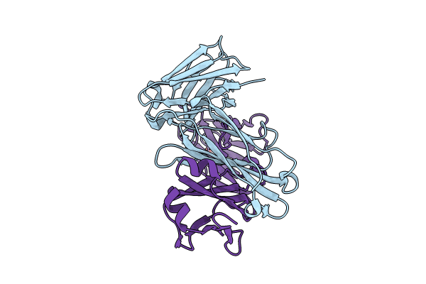 9B75 image