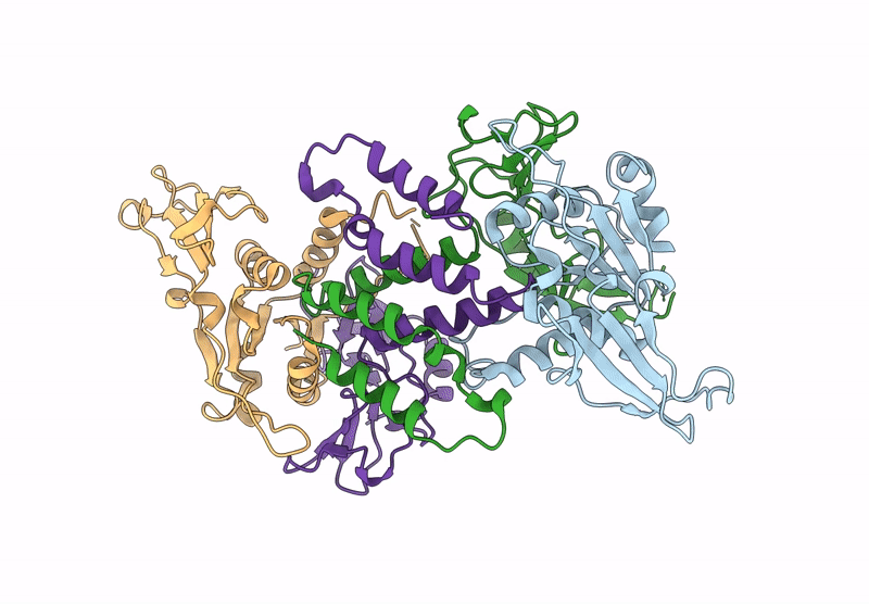 9B7D image