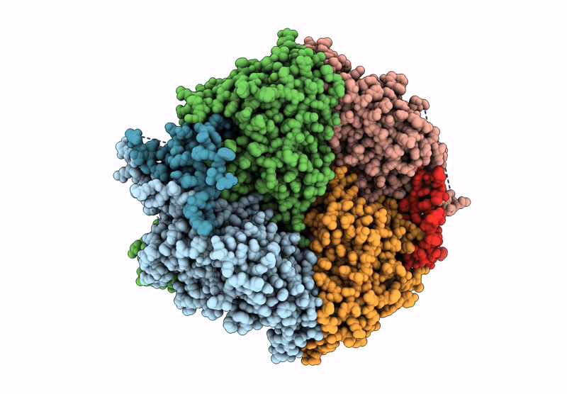 9B7T image