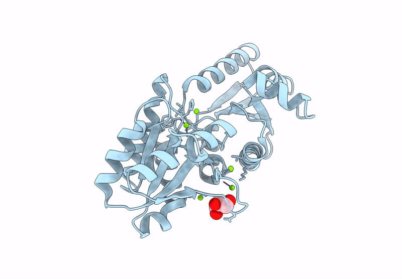 9B86 image