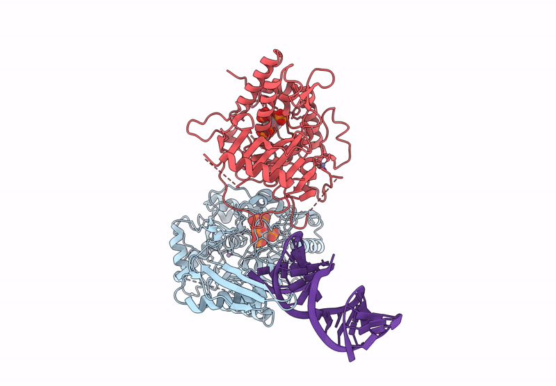 9B89 image