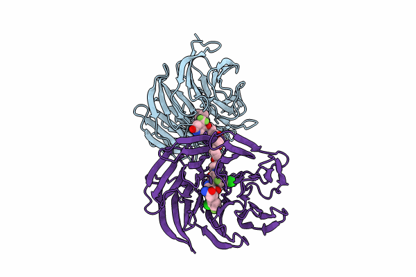 9B9H image