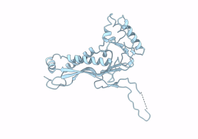 9B9I image