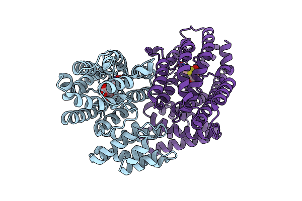 9B9N image