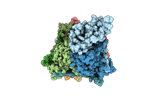 9B9V image