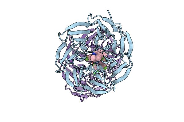 9B9W image