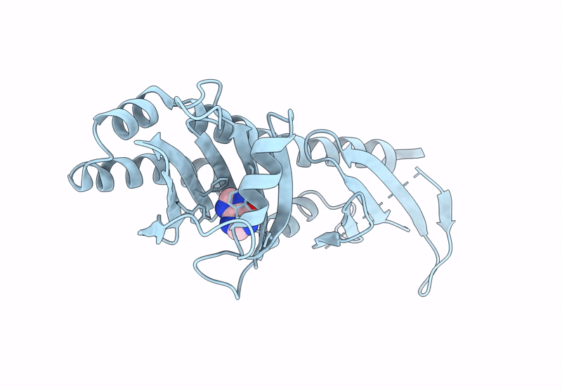 9B9X image