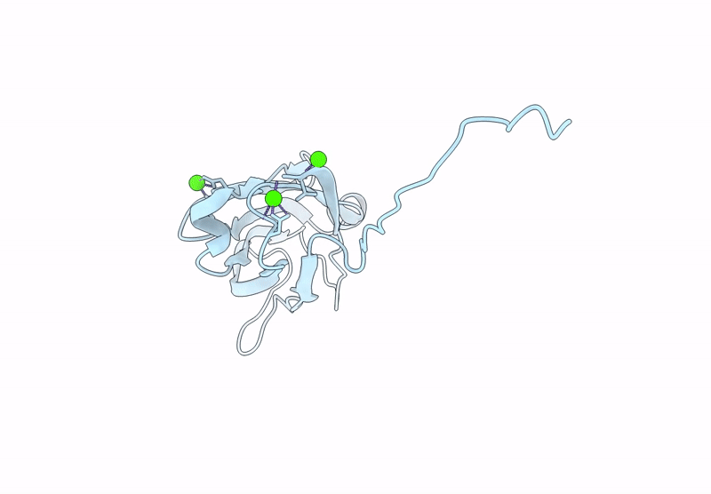 9BAC image