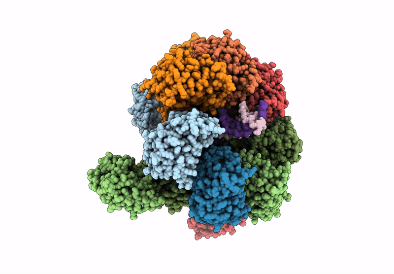 9BC5 image