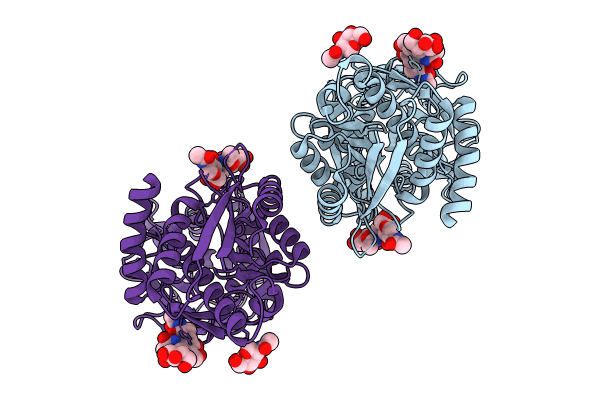 9BCN image