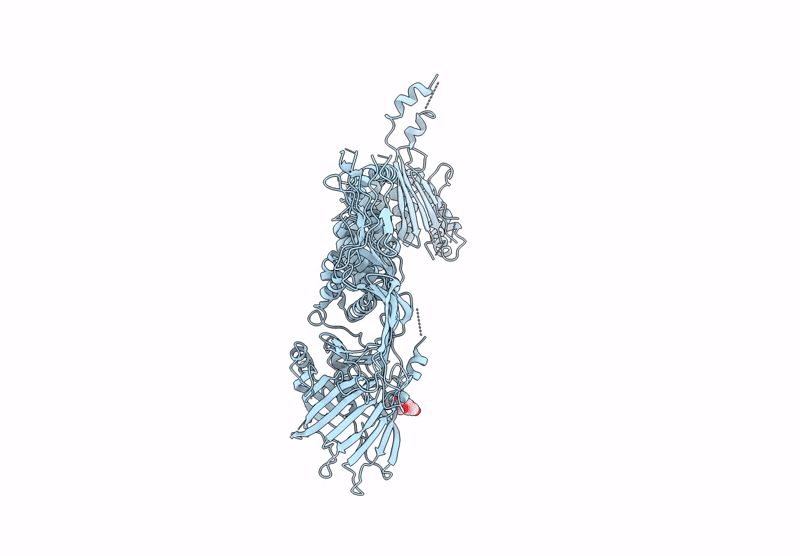 9BD1 image