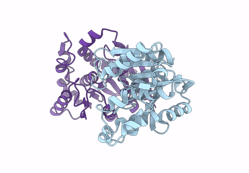 9BD4 image