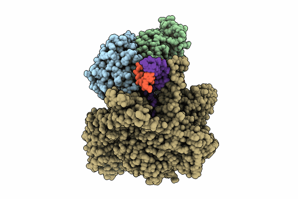 9BDC image