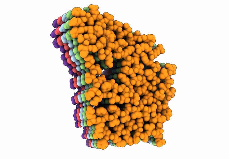 9BDM image