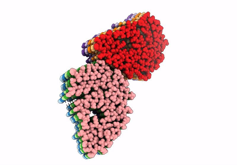 9BDR image