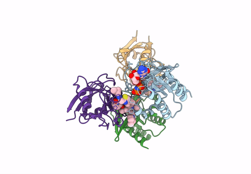 9BG3 image