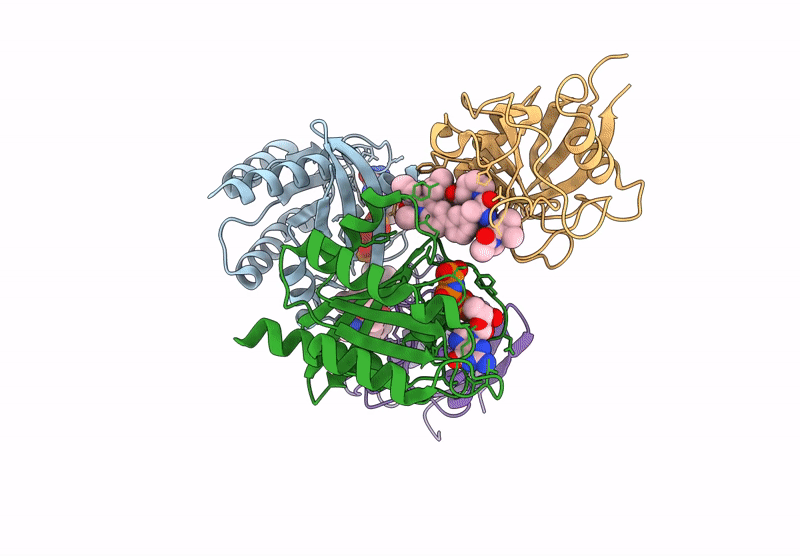 9BG4 image