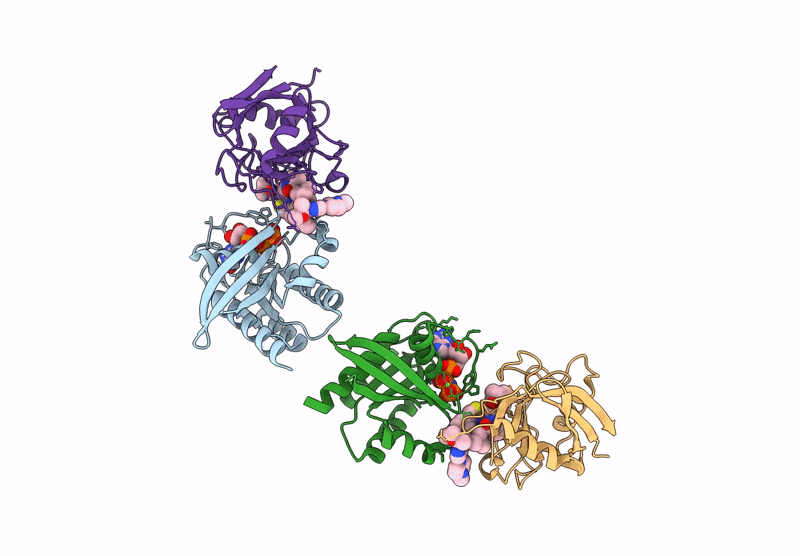 9BGA image