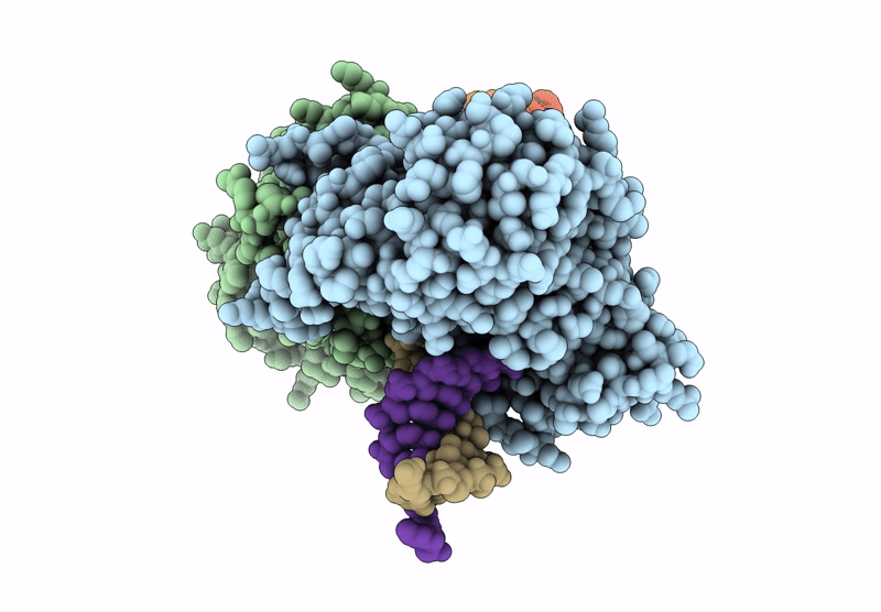 9BGI image